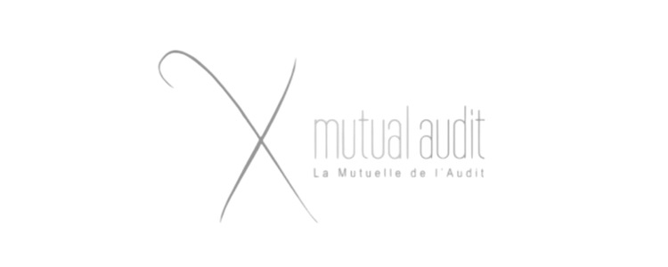 Mutual Audit